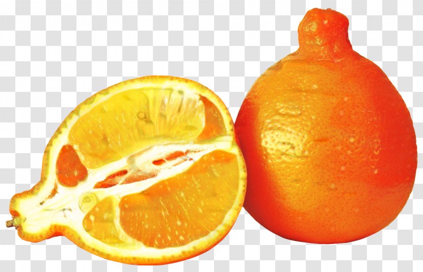 Lemon Cartoon - Citrus - Meyer Chemical Compound Transparent PNG