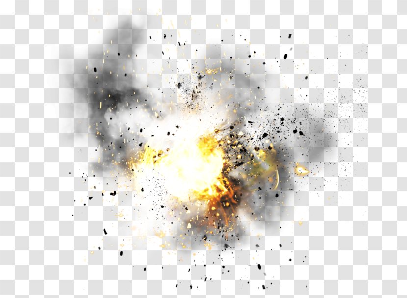 Explosion - Tree - Explosive Transparent PNG