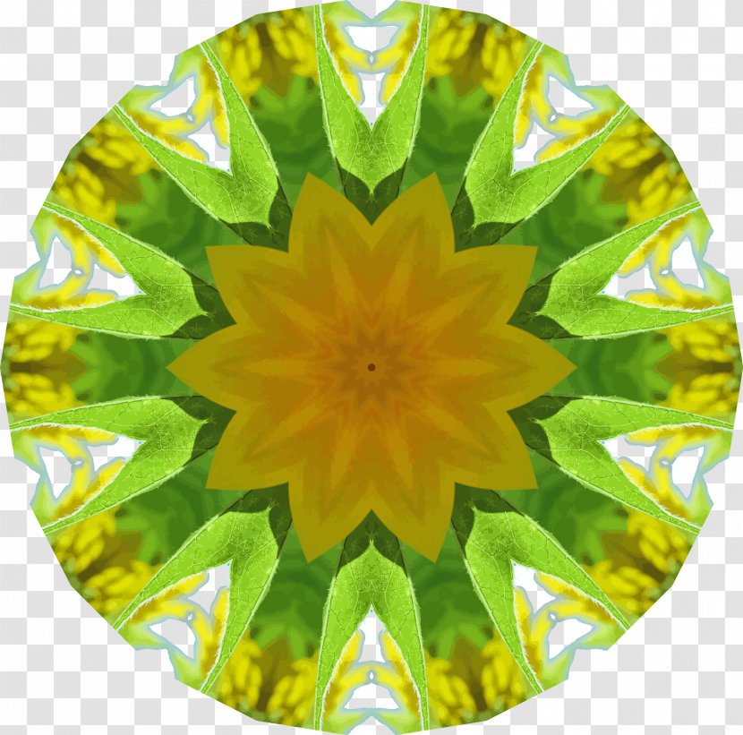Common Sunflower Seed Kaleidoscope Symmetry Pattern - Yellow Transparent PNG