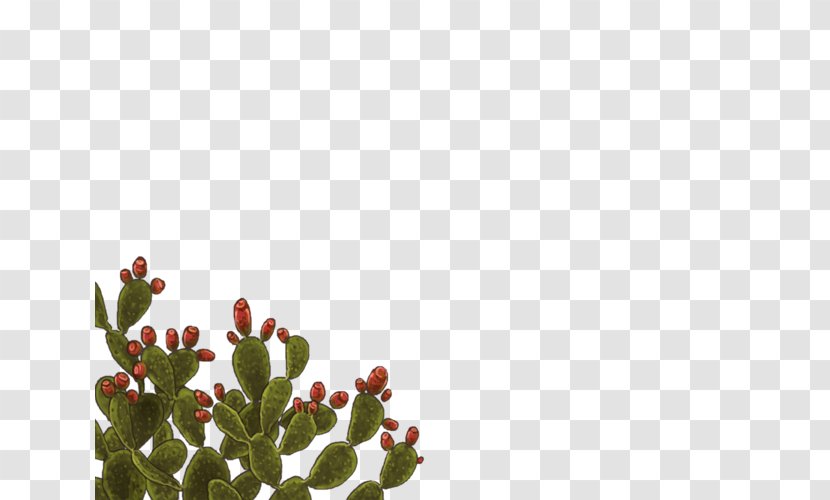 Citroën Cactus M Petal Leaf Cactaceae Font - Plant - Prickly Pear Transparent PNG