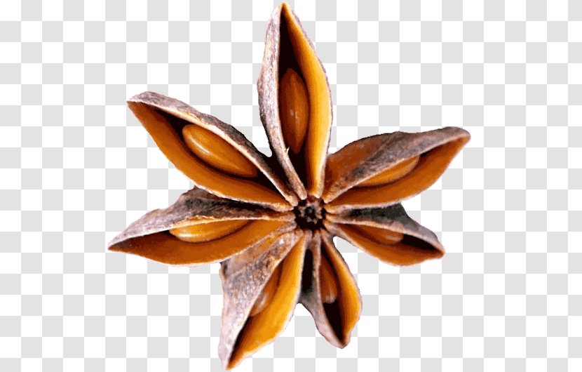 Spice Star Anise Flavor Chopped - Ingredient Transparent PNG