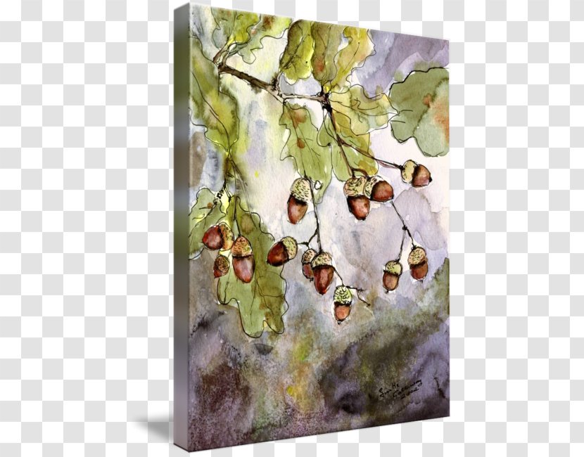 Watercolor Painting Acorn Oak Water Lilies - Art - Ink Transparent PNG