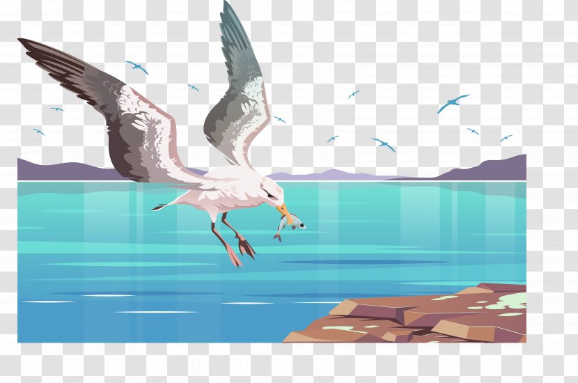 Illustration - Fauna - The Flying Crane Transparent PNG