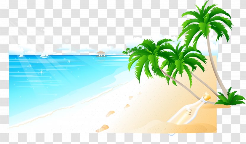 Coconut Arecaceae Tree - Background Material Vector Sea Transparent PNG