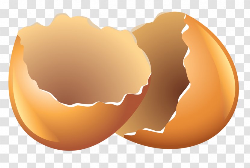Fried Egg Eggshell Yolk Carton - Shells Transparent PNG