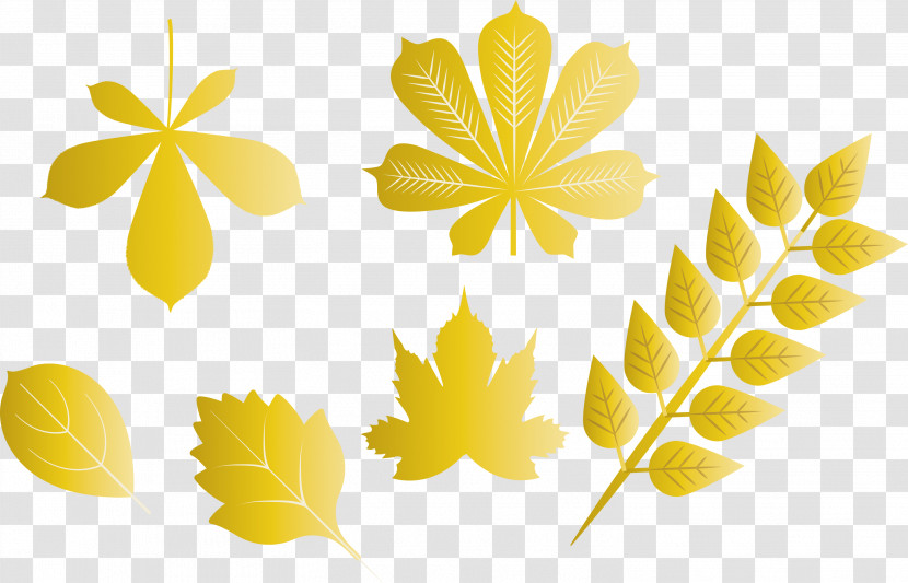 Autumn Leaf Autumn Color Transparent PNG