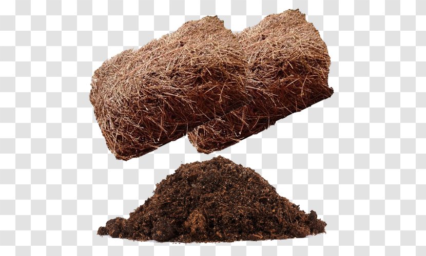 Mulch Soil Straw Plant Pine - Stock Photography - Needles Transparent PNG