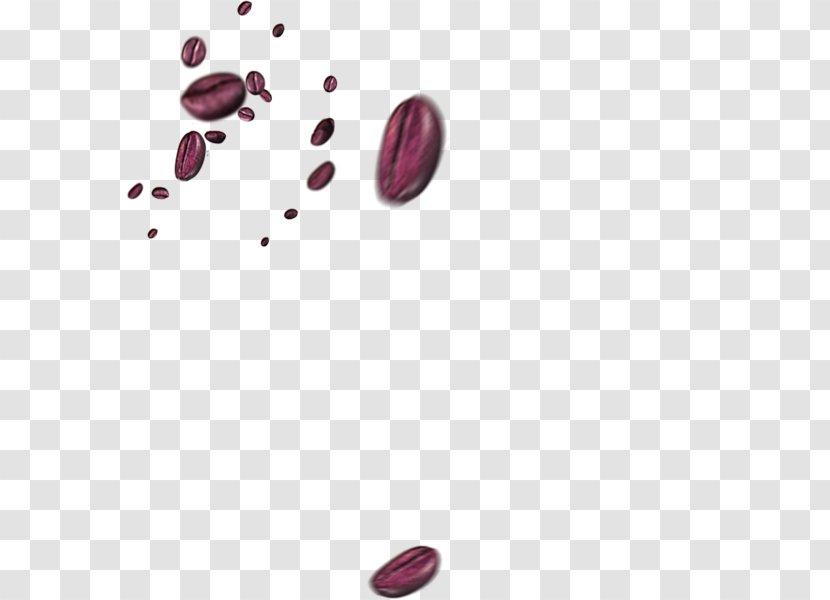 Coffee Bean Cafe - Black Beans Transparent PNG