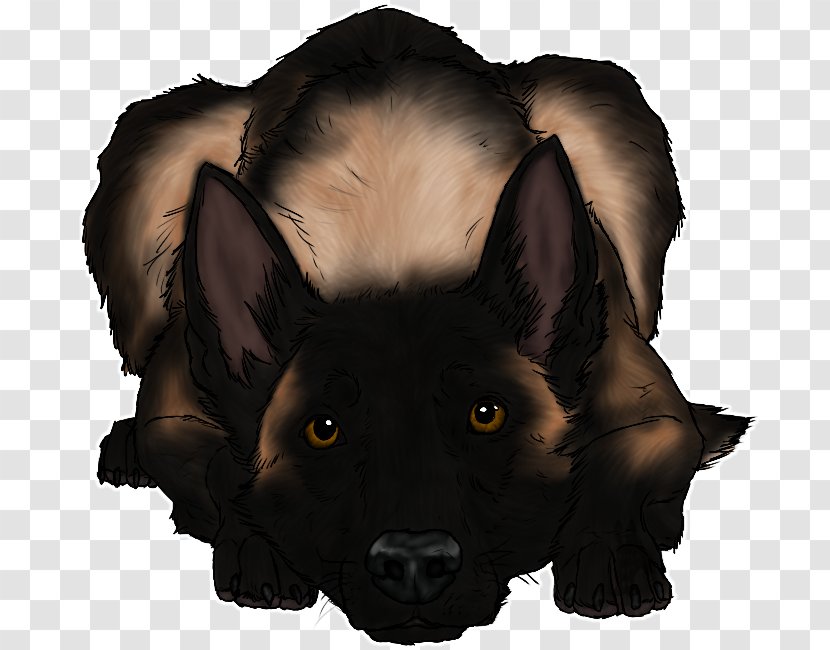 Dog Breed Snout Fur - Wildlife Transparent PNG