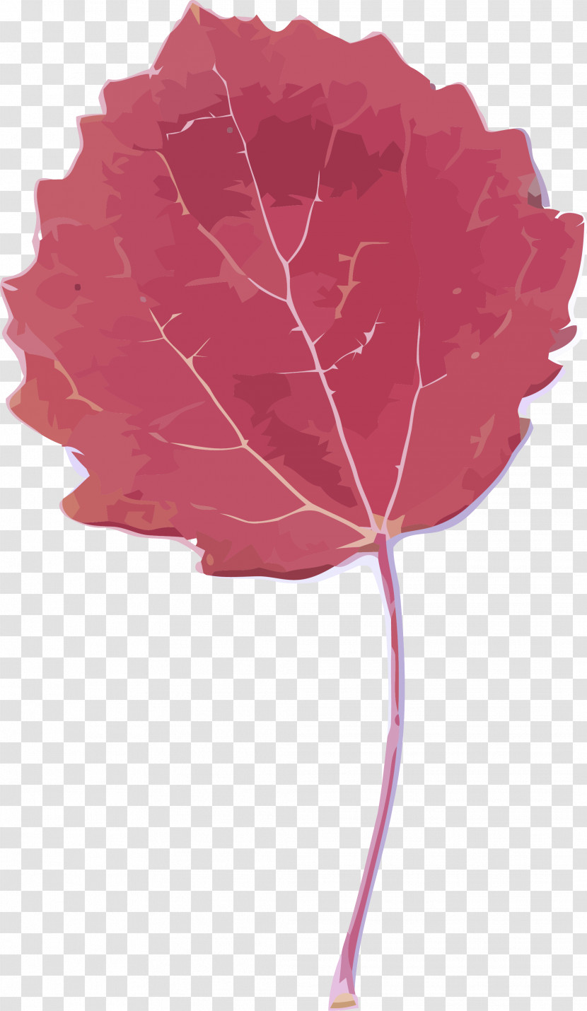 Autumn Leaf Yellow Leaf Leaf Transparent PNG