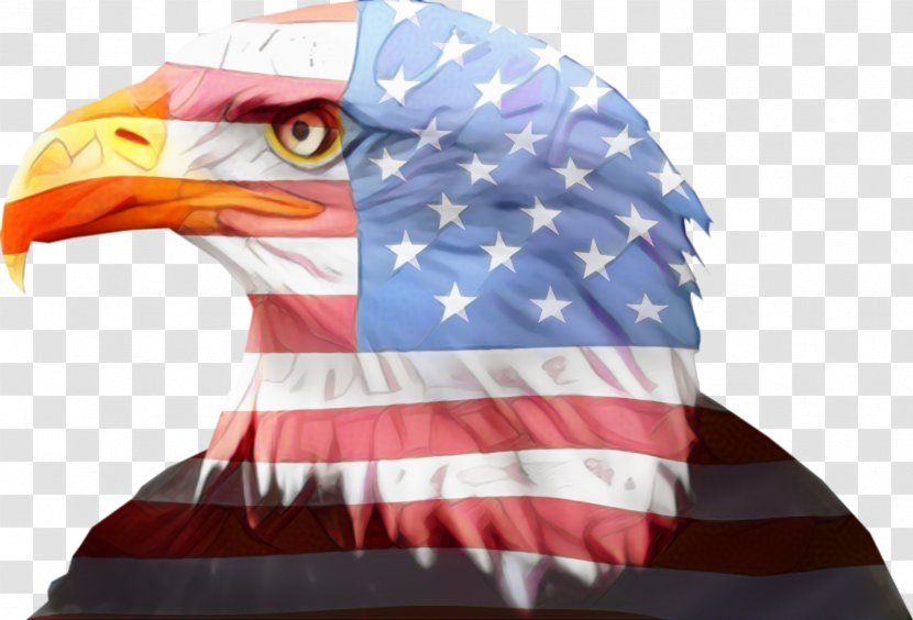 Veterans Day American Flag - Of The United States - Games Falconiformes Transparent PNG