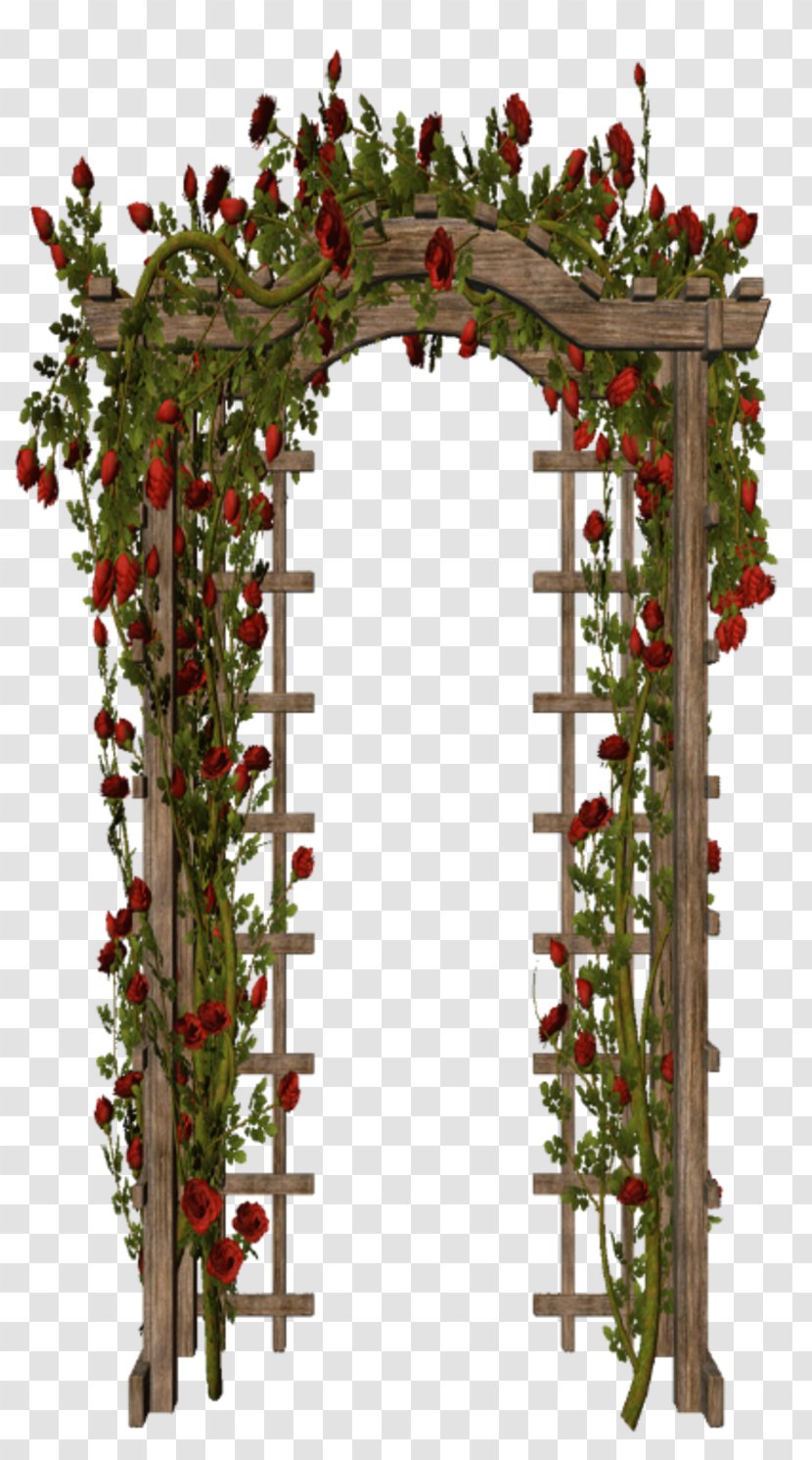 Garden Trellis Floral Design - Flower - Gazon Transparent PNG