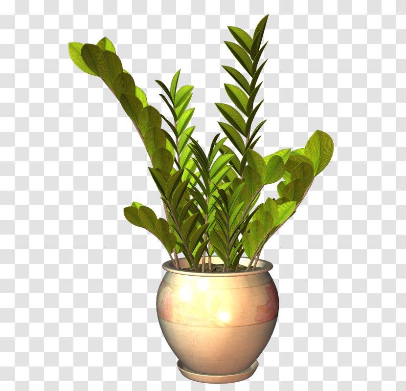 Flowerpot Leaf Houseplant Plants - Mms - Arbuste Sign Transparent PNG