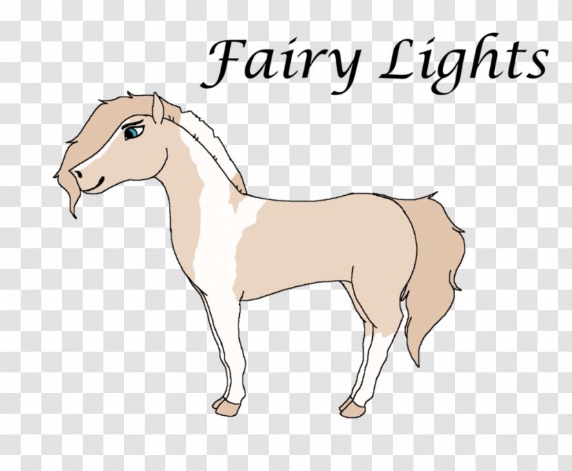 Mustang Foal Pony Stallion Colt - Animal Figure - Fairy Light Transparent PNG