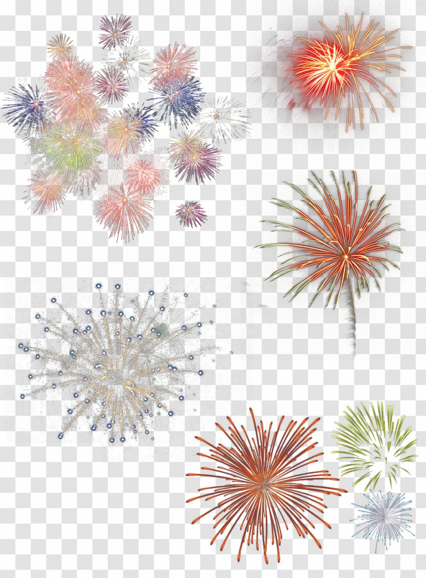 Fireworks Download Festival - Data - Painted Romantic Group Transparent PNG