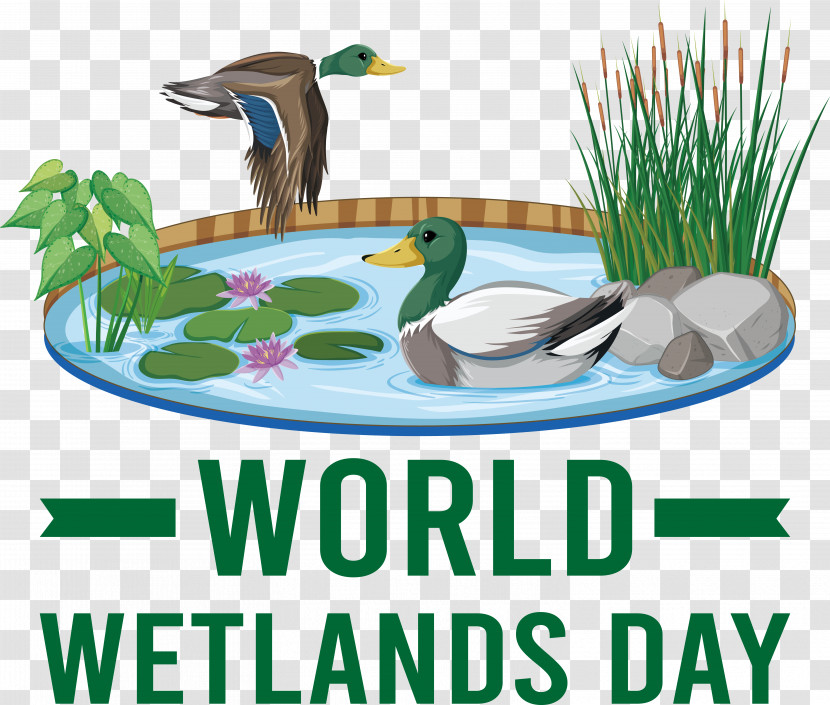 World Wetlands Day Transparent PNG