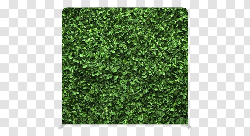 Artificial Turf Mat Green Wall Hedge - Plant - Ink Blade Transparent PNG