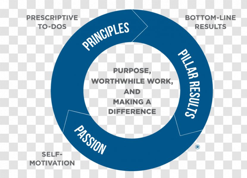 Health Care Medicine System Organization - Physician - Leadership Development Transparent PNG