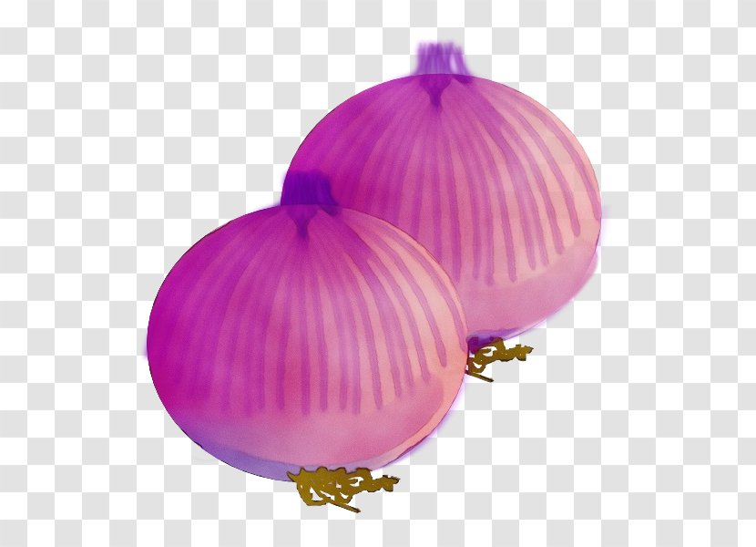 Onion Purple Violet Pink Red - Food Vegetable Transparent PNG
