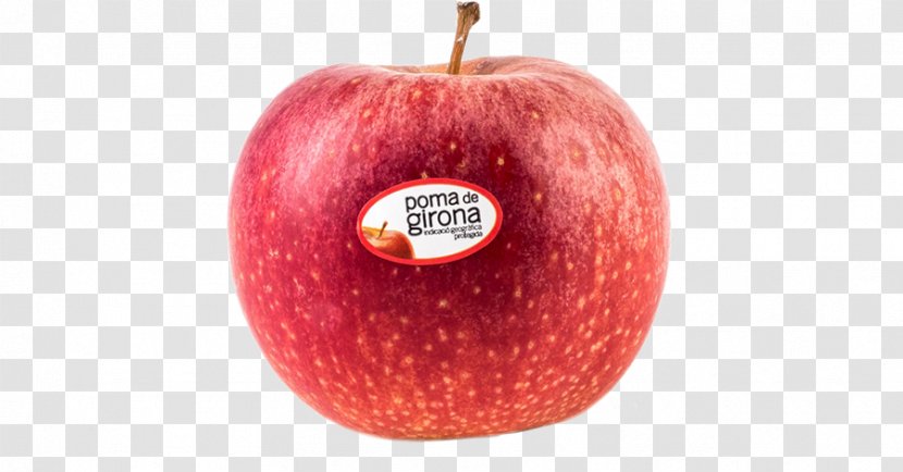Poma De Girona Apple Adierazpen Geografiko Babestua Accessory Fruit Denominación Origen - Food Transparent PNG
