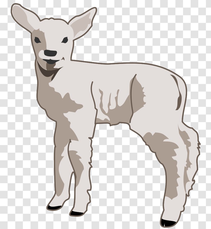 Sheep Lamb And Mutton Free Content Clip Art - Cartoon Pictures Transparent PNG