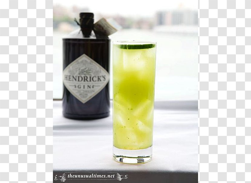 Harvey Wallbanger Lemonade Cocktail Hendrick's Gin Non-alcoholic Drink - Highball - Cucumber Transparent PNG