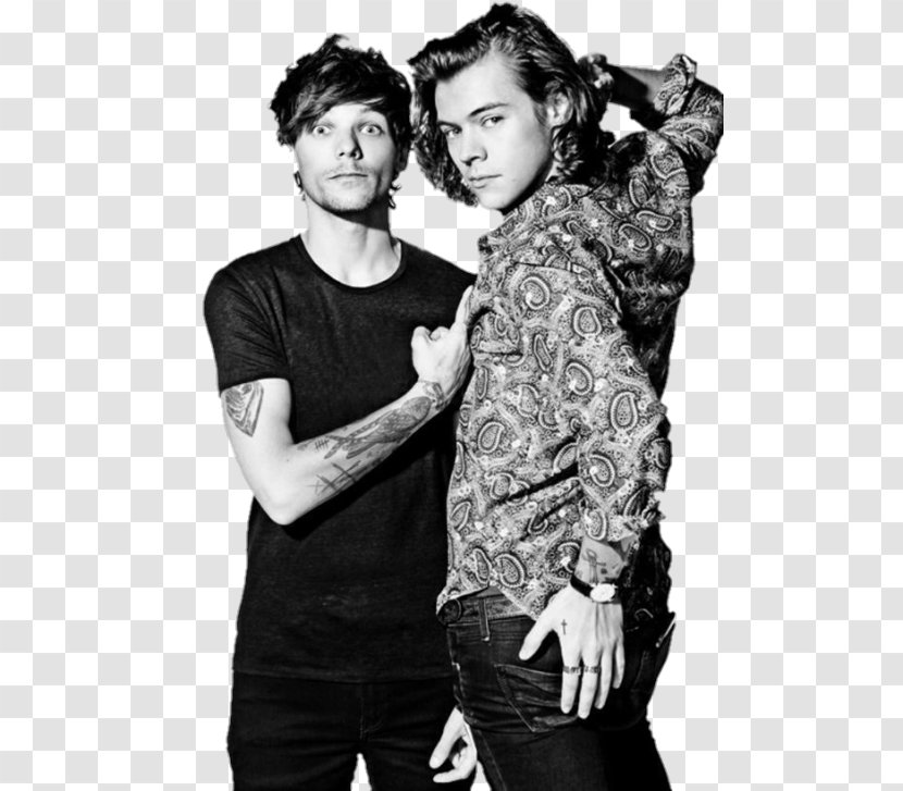 Louis Tomlinson Harry Styles One Direction Shipping YouTube - Tree - Fade Transparent PNG