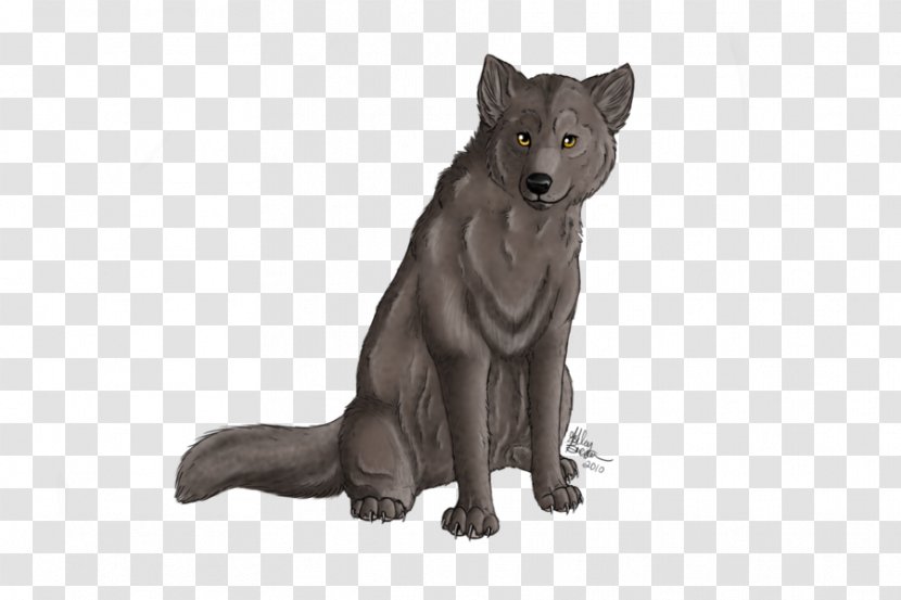 Fur Wildlife - Dog Like Mammal - Wolf Spirit Transparent PNG