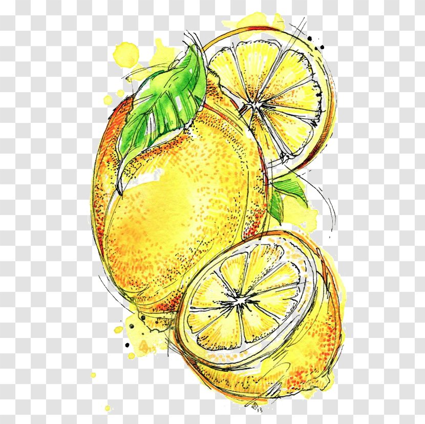 Lemon-lime Drink Cocktail - Lemon Transparent PNG