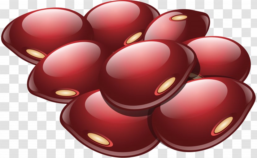 Food Common Bean Clip Art - Wild - Black Beans Transparent PNG