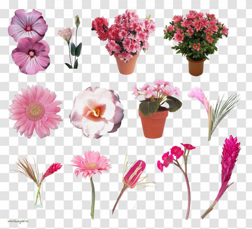 Cut Flowers Floral Design Artificial Flower - Plant - Lavander Transparent PNG