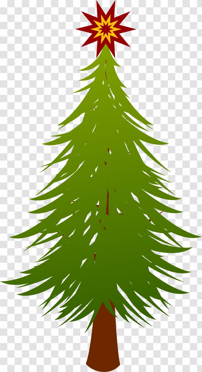 Fir Spruce Evergreen Christmas Tree - Pinaceae Transparent PNG