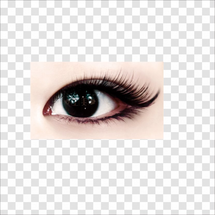 Eye Download Icon - Flower Transparent PNG
