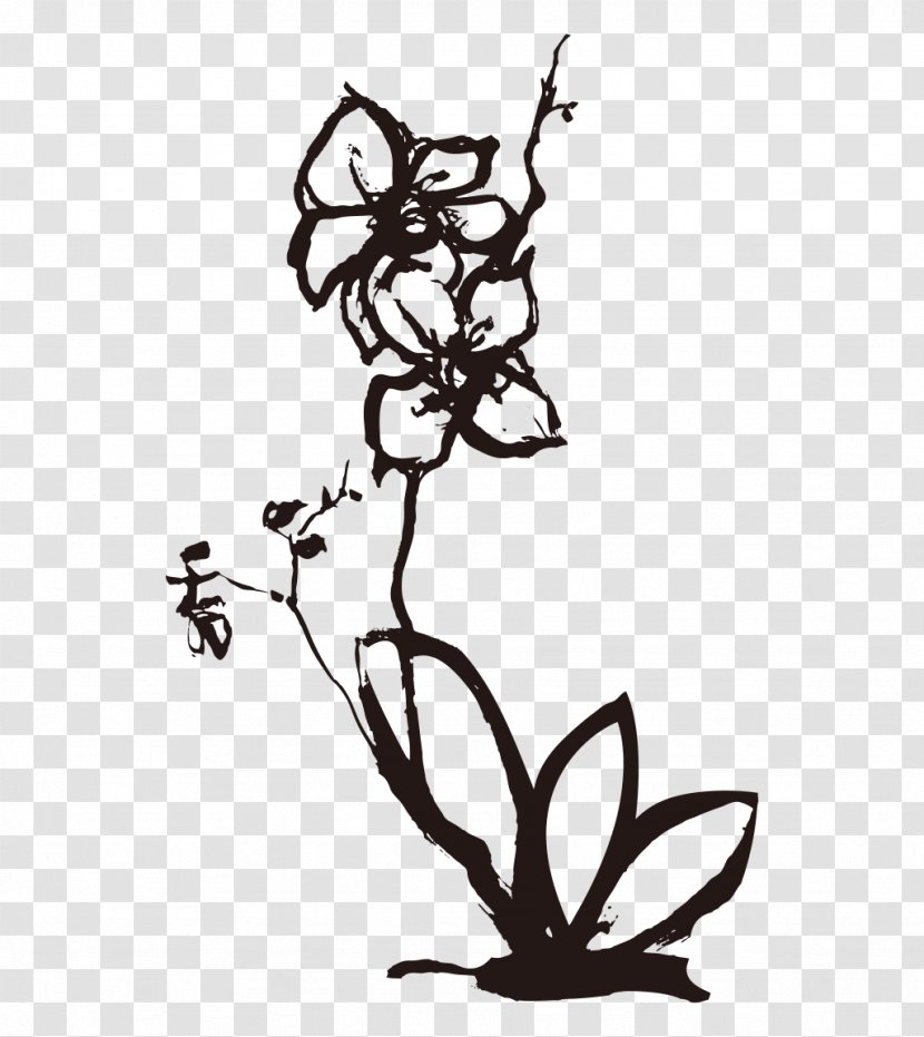 Orchids Drawing Euclidean Vector - Leaf - Plum Freehand Transparent PNG