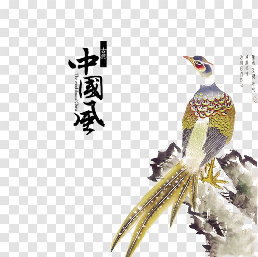 China Bird Chinoiserie Chinese Painting - Creative Peacock Transparent PNG