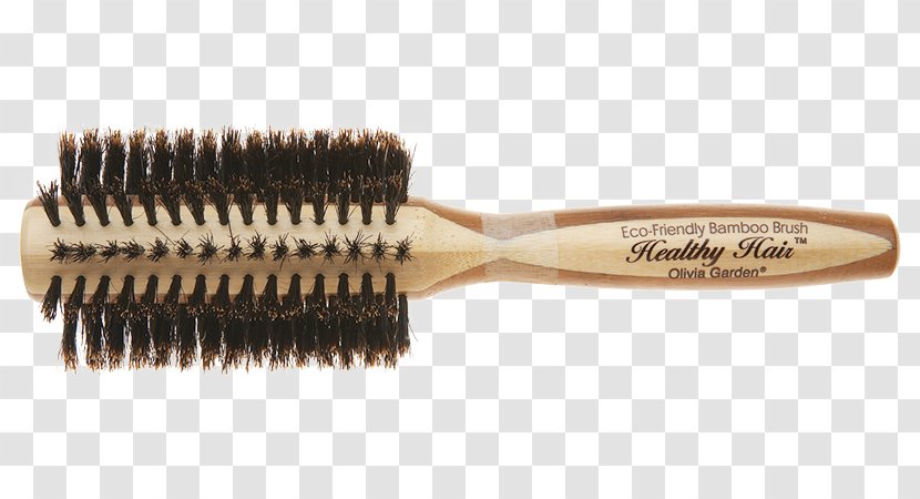 Hairbrush Wild Boar Comb Bristle - Tool - Hair Transparent PNG