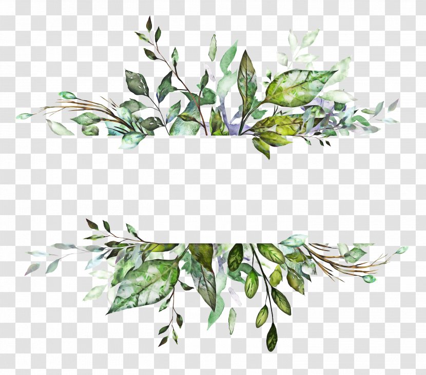 Flower Plant Branch Leaf Twig - Stem Tree Transparent PNG