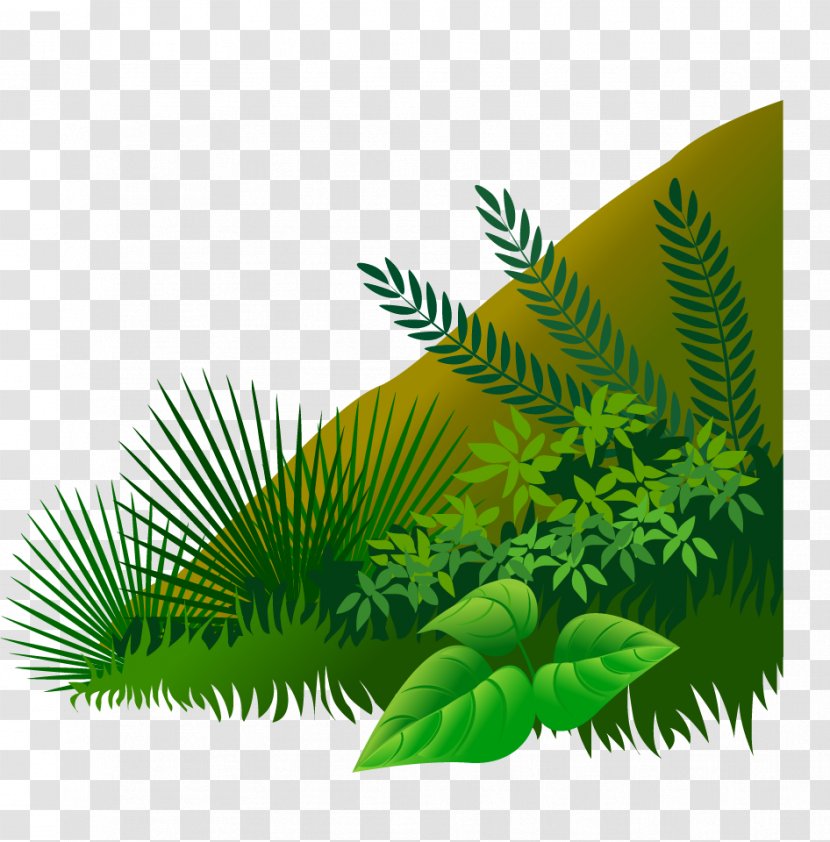 Download Clip Art - Plant - Green Leaves Transparent PNG
