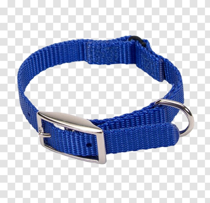 Dog Collar Cat Leash - Harness - Blue Transparent PNG