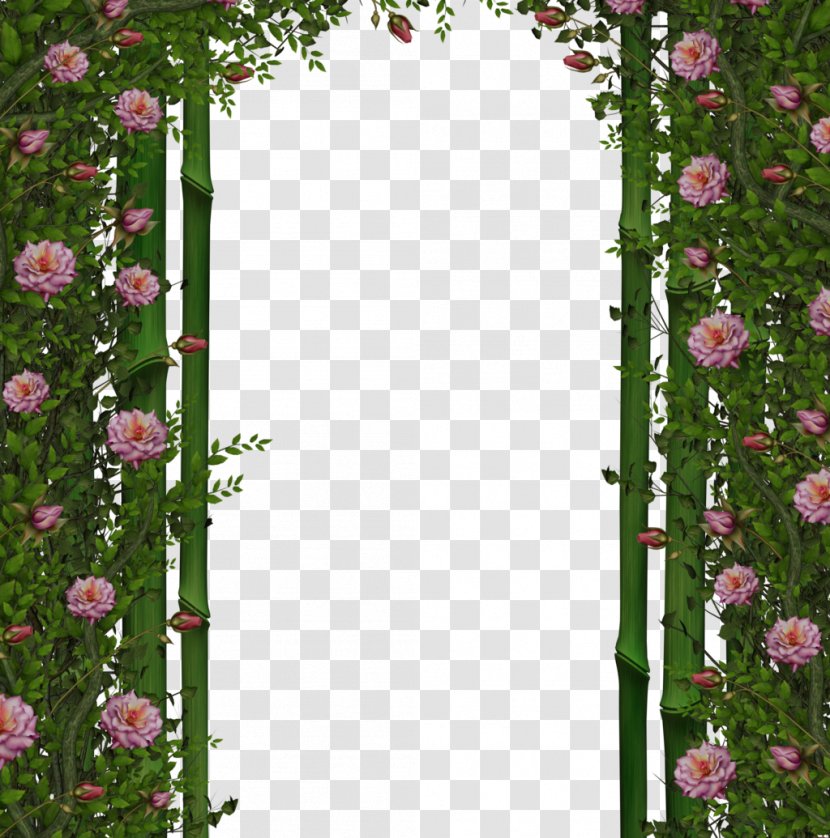 Wallpaper - Flowering Plant - Lace Arches Transparent PNG
