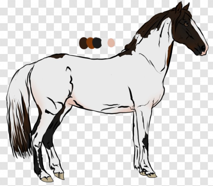 Mane Foal Stallion Pony Mare - Black And White - Mustang Transparent PNG
