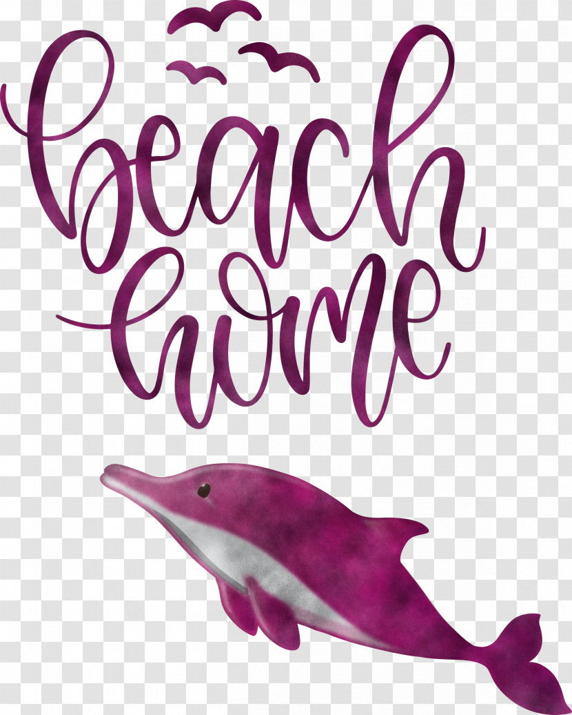 Beach Home Transparent PNG