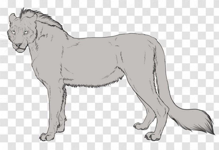 Lykoi Animal Dog Cat Body-type Mutation - Like Mammal - Coat Genetics Transparent PNG
