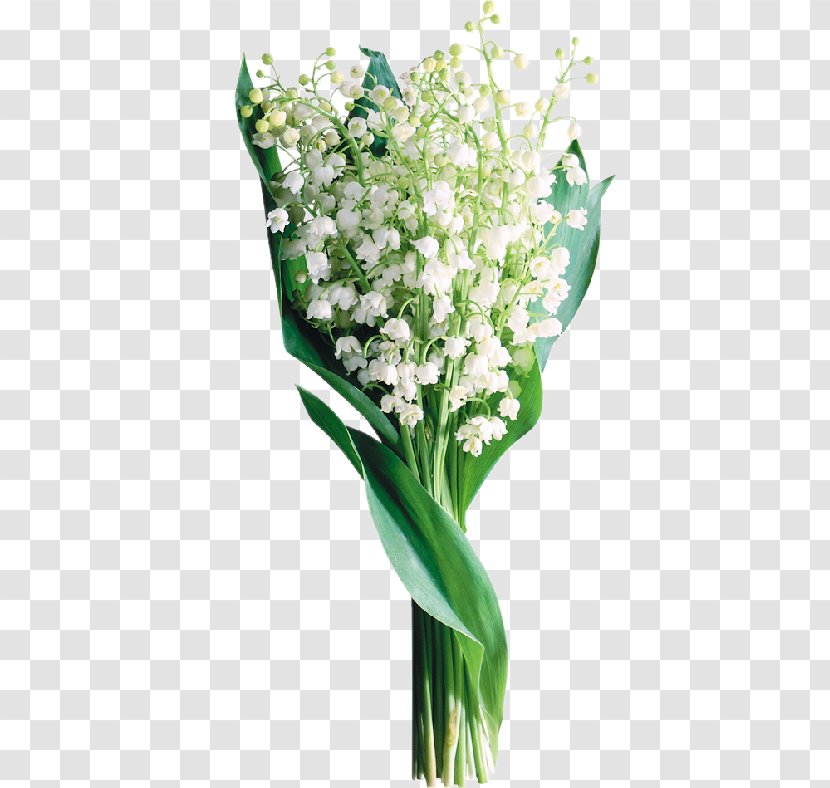 Lily Of The Valley Perfume Image Flower Transparent PNG