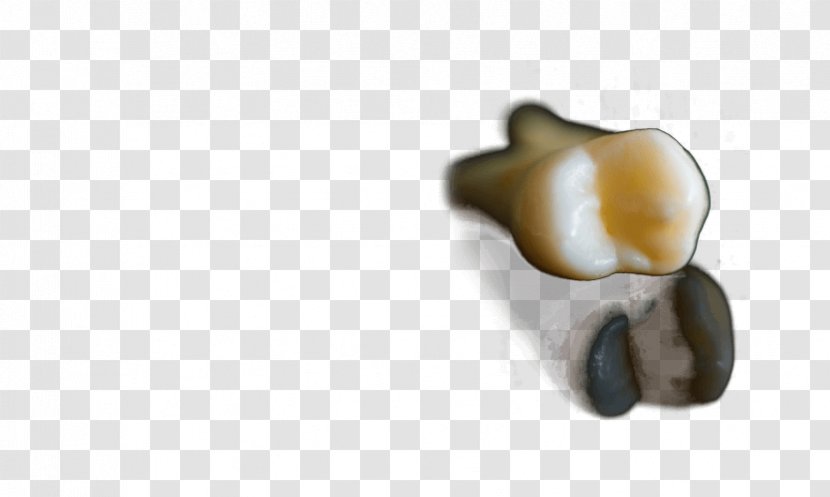 Body Jewellery - Jewelry - Tooth Pain Transparent PNG