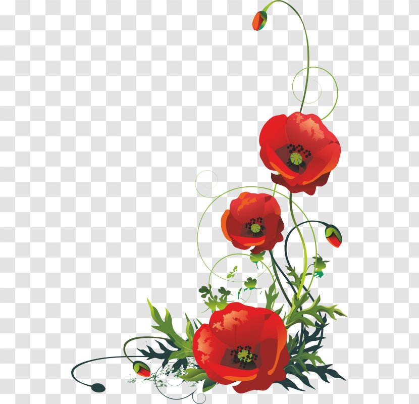 Common Poppy Remembrance - Can Stock Photo - Flower Bouquet Transparent PNG