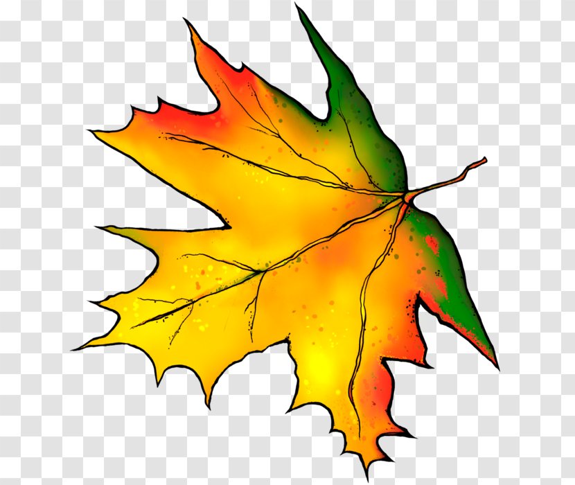 Autumn Leaves Leaf Color Maple - Plant Transparent PNG