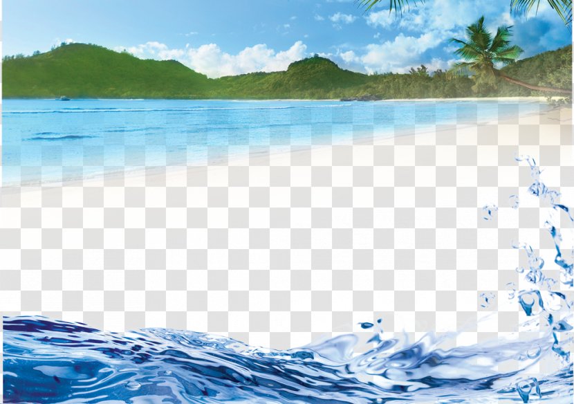 Arecaceae Wall Beach Wallpaper - Wave Transparent PNG