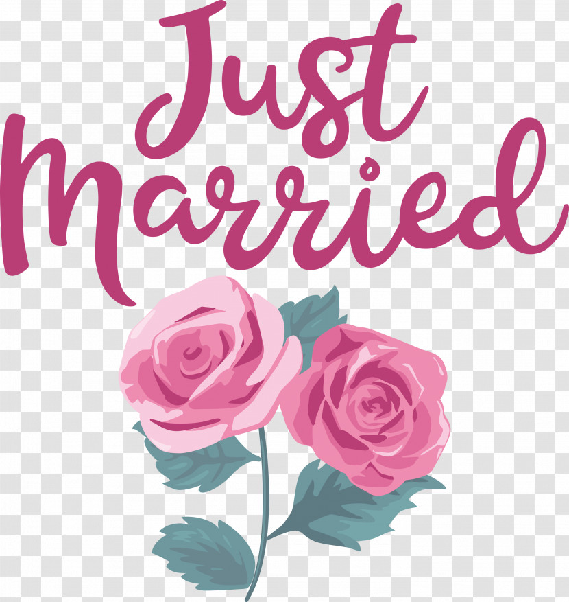 Just Married Wedding Transparent PNG