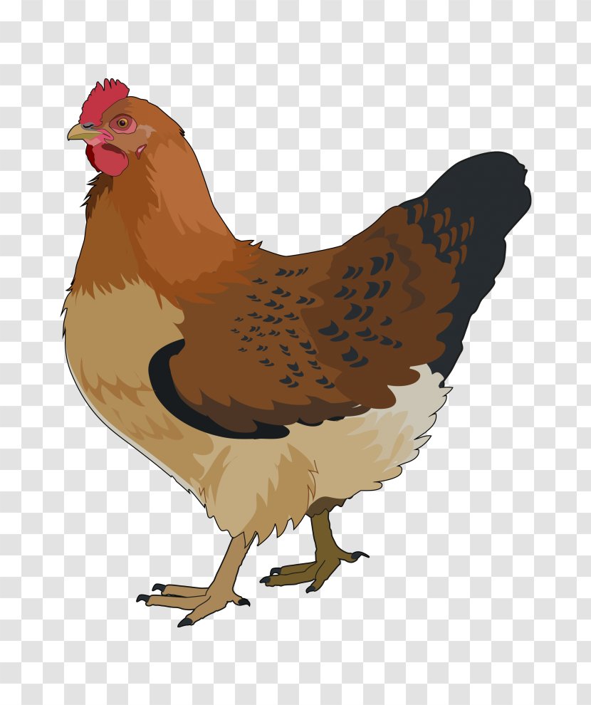 Rooster Chicken Bird Clip Art Transparent PNG